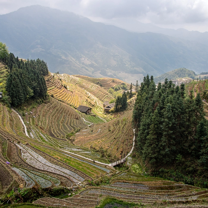 Longji-4_thumb.webp